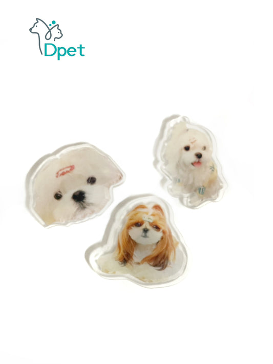 Custom Pet fridge magnets