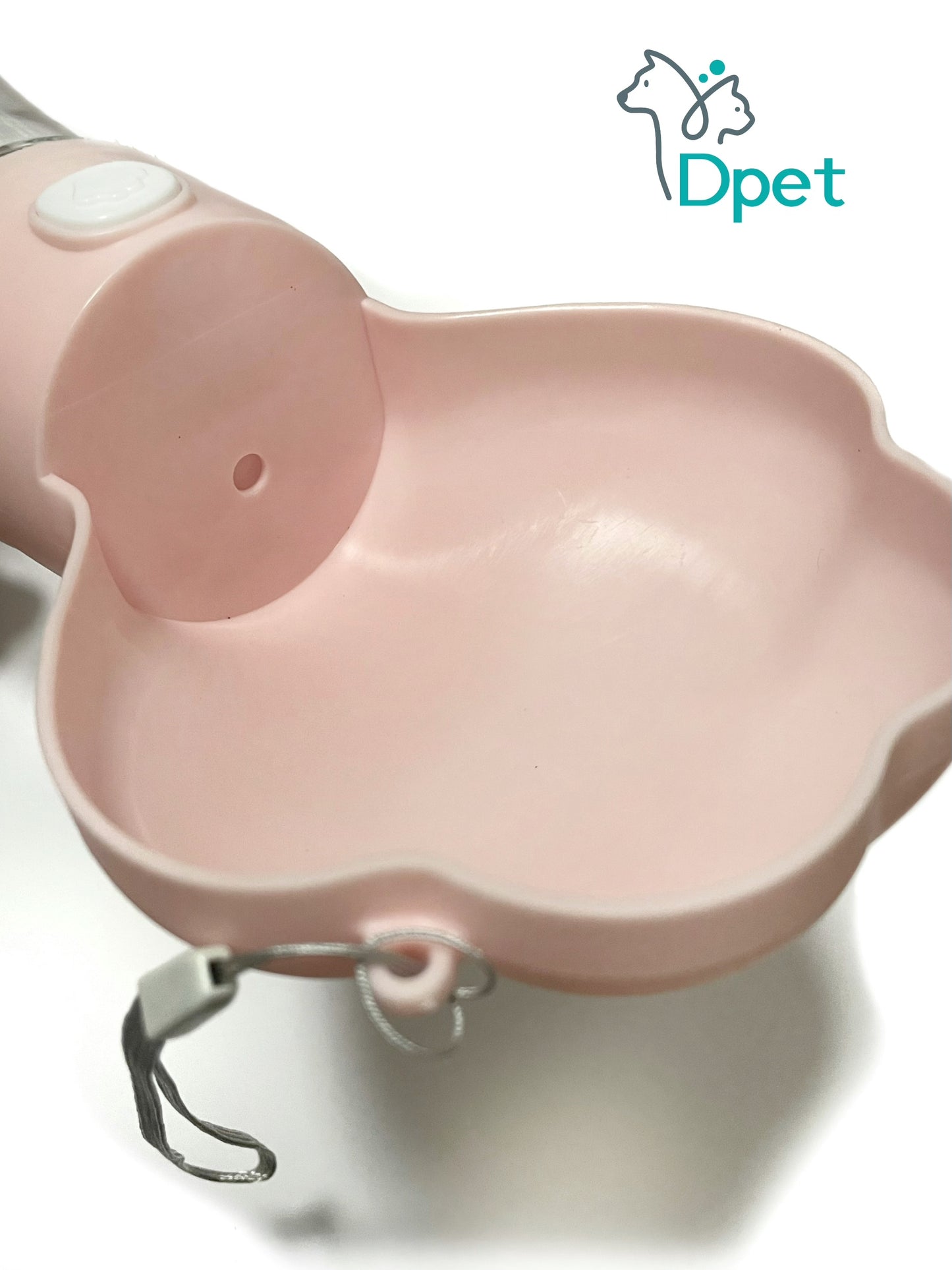 Pet water bottle